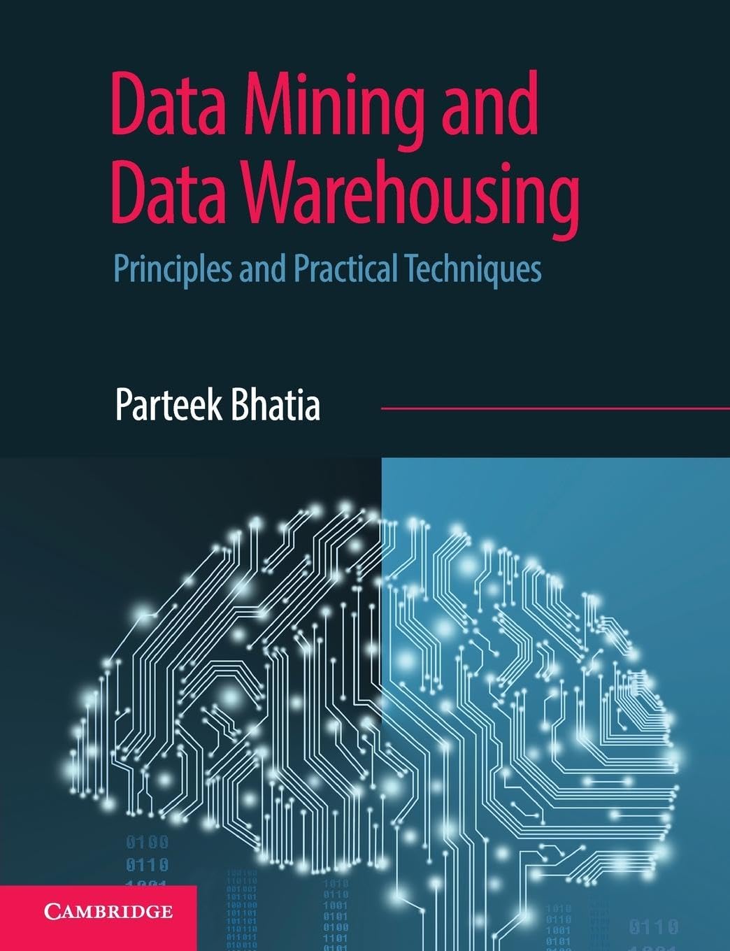 Data Mining and Data Warehousing: Principles and Practical Techniques